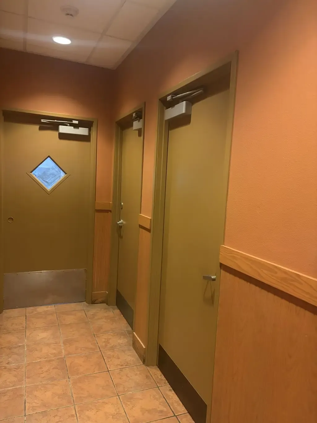 Painted hallway doors and wainscot trim